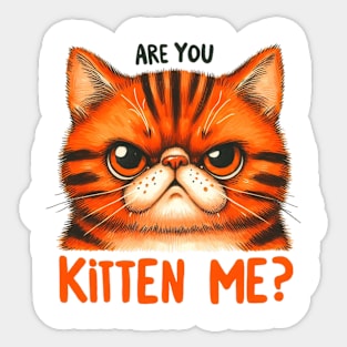 Are you kitten me Funny Cat Quote Hilarious Sayings Humor Gift Sticker